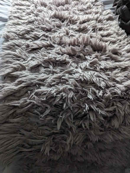 Photo of free Rug (Culcheth WA3) #3