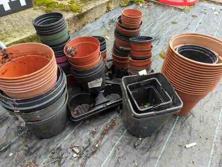 Photo of free Plastic plant pots (BR6, Green Street Green) #1
