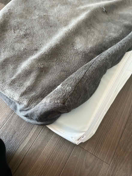 Photo of free Dog bed (South Acton W3) #3