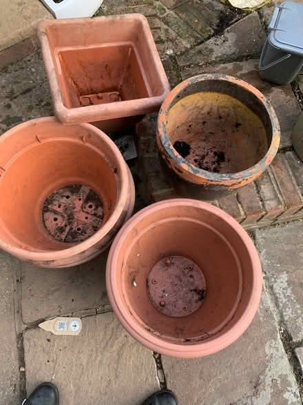 Photo of free Various large plastic pots (Loose, Maidstone) #1