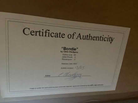 Photo of free Blondie photo (Oswestry SY11) #2