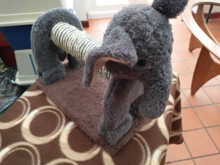 Photo of free Small scratch post toy (Salfords, Redhill RH1 5) #1