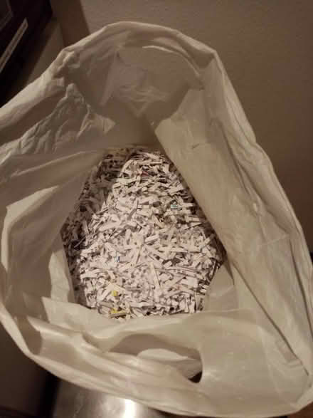 Photo of free Shredded paper for projects (Crystal Palace) #1