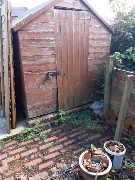 Photo of free Garden shed and tress (PR8) #4