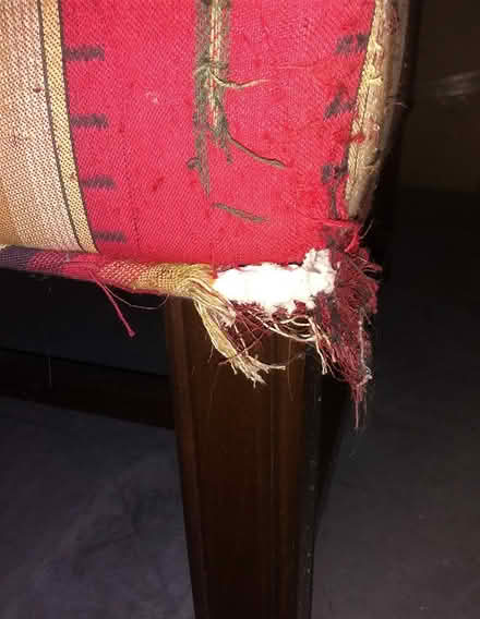 Photo of free Wing chair (Bolton, MA) #1