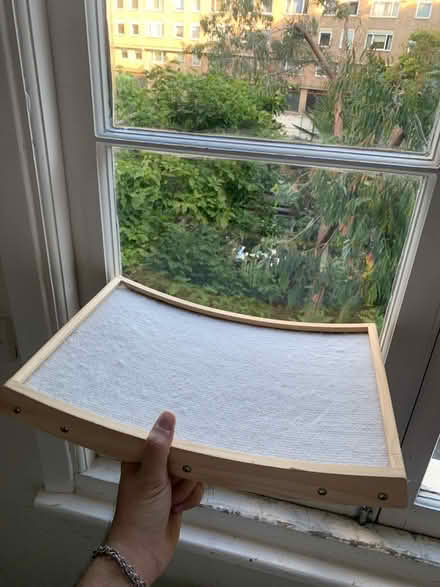 Photo of free Cat window bed (Maida Vale W9) #1