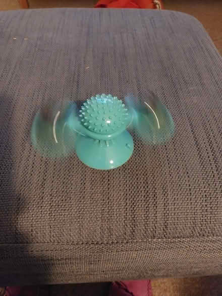 Photo of free Cat/kitten toy (Cosham) #3