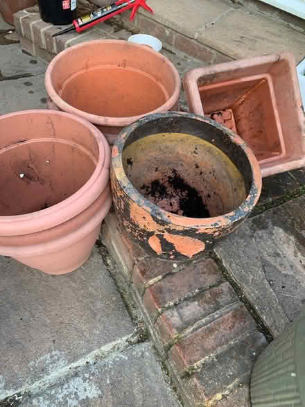 Photo of free Various large plastic pots (Loose, Maidstone) #2