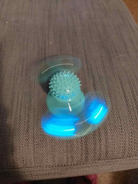 Photo of free Cat/kitten toy (Cosham) #4
