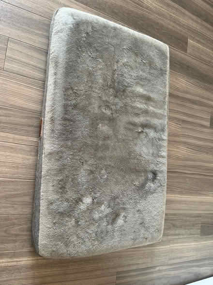 Photo of free Dog bed (South Acton W3) #2
