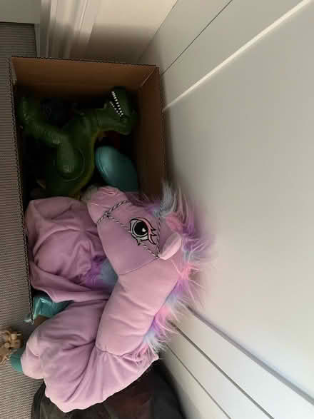 Photo of free Clear out boxes (NW11) #2