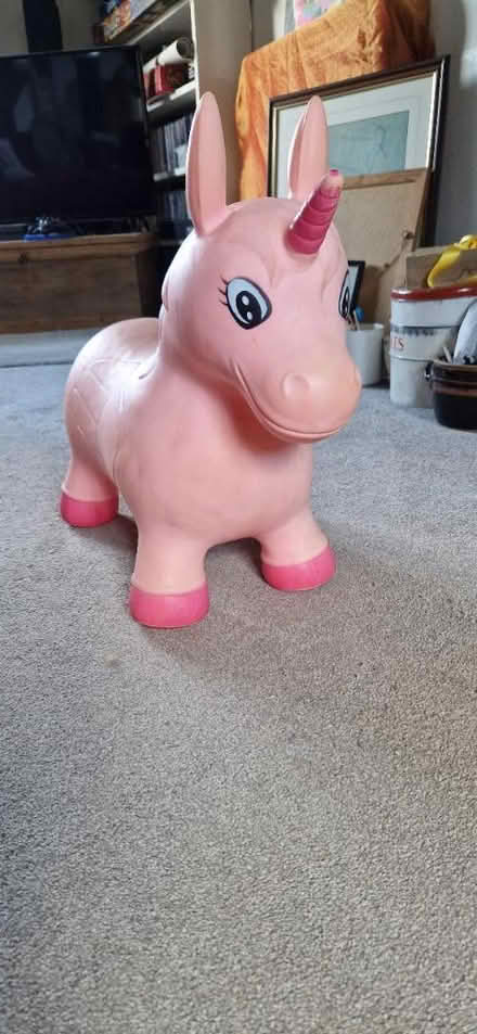 Photo of free Sit on pink unicorn (Danbury, CM3) #1