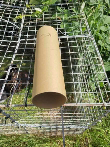 Photo of free Cardboard tube (Earlham NR5) #1