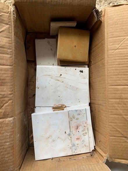 Photo of free Box of wall tiles (Loose, Maidstone) #1