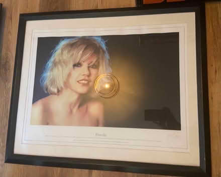 Photo of free Blondie photo (Oswestry SY11) #1