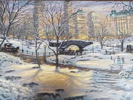 Photo of free Central Park Winter Scene with lights (Ladderstile Gate KT2) #1
