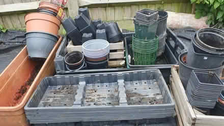 Photo of free Plastic plant pots (Langney BN23) #1