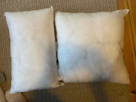 Photo of free Cushions inserts (new) (Brockley / Lewisham SE13) #1