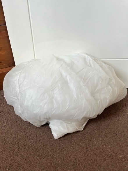 Photo of free 2x single bed mattress protectors (West Malling) #1