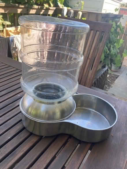 Photo of free Pet water bowl (Alameda - East Side) #1