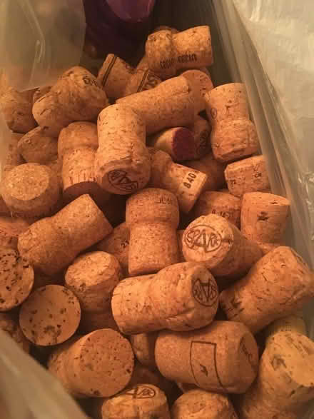 Photo of free Corks for craft (GU14) #1