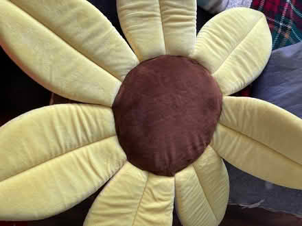 Photo of free Flower pillow/baby bath insert (Ballyfermot) #2