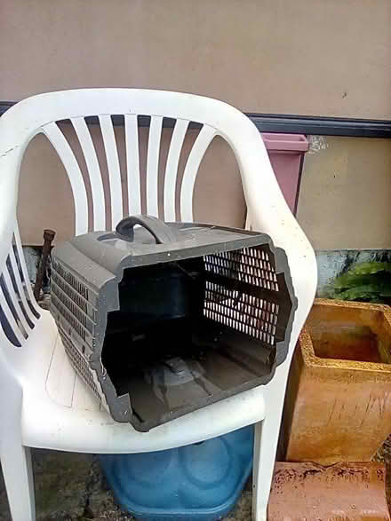 Photo of free Grass box (Chirk Bank LL14) #1