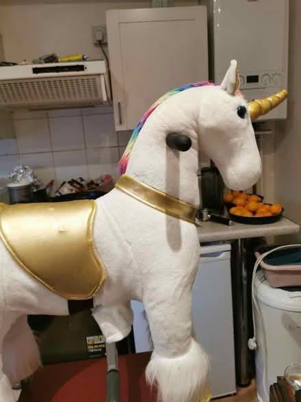 Photo of free Unicorn horse ride on (NW2) #2