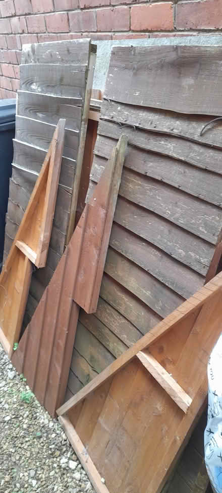 Photo of free Dismantled shed (Ross on Wye HR9) #1