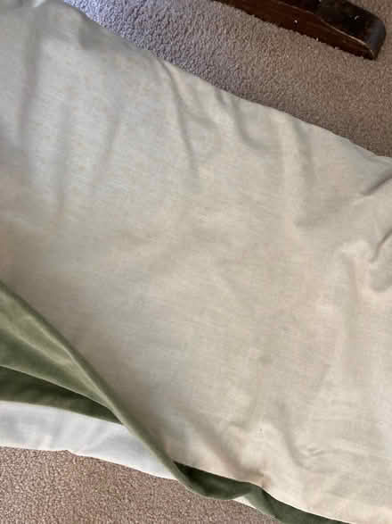 Photo of free Green Velvet Curtains (Heysham LA3) #1