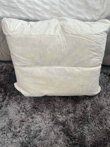 Photo of free Large Feather filled cushion (Sutton SM1) #1