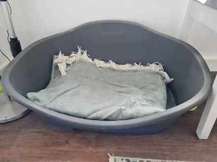 Photo of free Dog bed (Pant SY10) #2