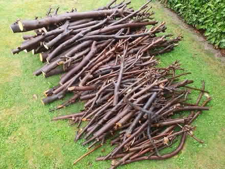 Photo of free Firewood (Tupsley HR1) #1