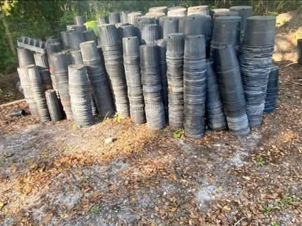 Photo of nursery/planting pots (Town n Country, Tampa) #1