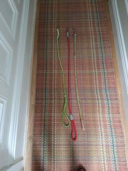 Photo of free Dog leads (Denmead PO7) #1