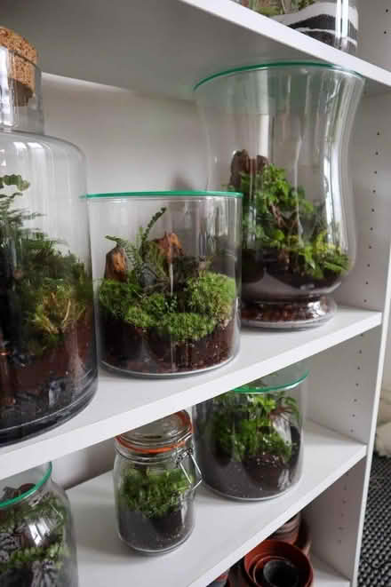 Photo of Large glass container(s) /bowls (Shefford, Beds) #1