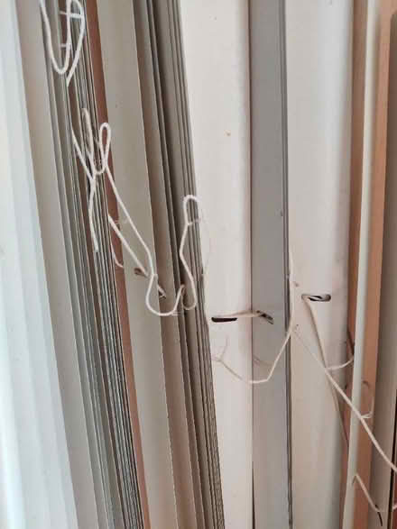 Photo of free Venetian blind (Cowling PR6) #2