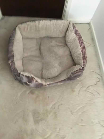 Photo of free Dog Bed (The Ronkswood WR5) #1