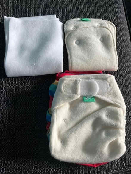 Photo of free Reusable Nappies (Craiginch AB11) #1