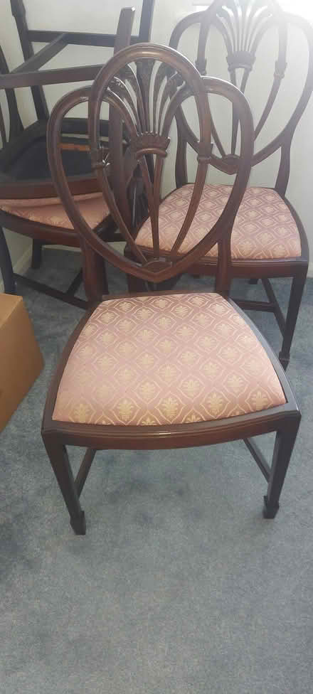 Photo of free Dining chairs. (Raunds NN9) #1