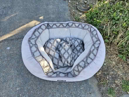 Photo of free Large dog bed (Benicia) #1
