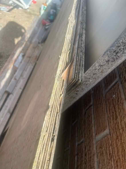 Photo of free Wood (Wadsley Bridge S5 8) #4