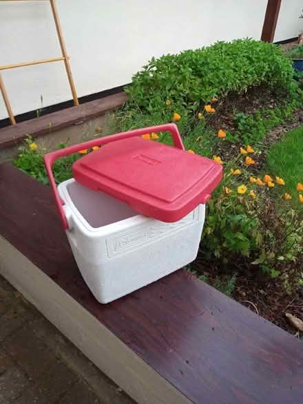 Photo of free Cooler box (Roxton MK44) #1