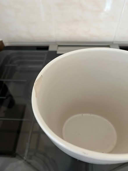 Photo of free Plant pot (West Horsham) #2
