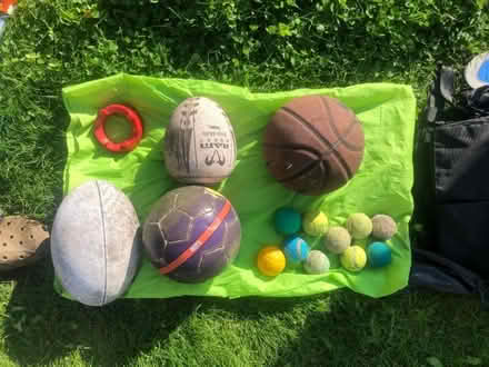 Photo of free Balls! (Frome BA11) #1