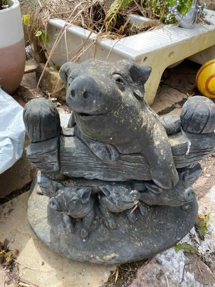 Photo of free Little piggy and friends (Breaston Derby) #1