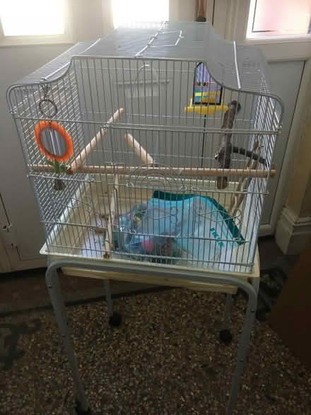 Photo of free Bird cage and stand (Llandrindod LD1) #1