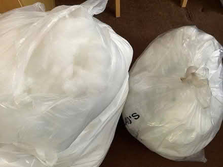 Photo of free Stuffing from soft cushions (Portchester PO16) #1