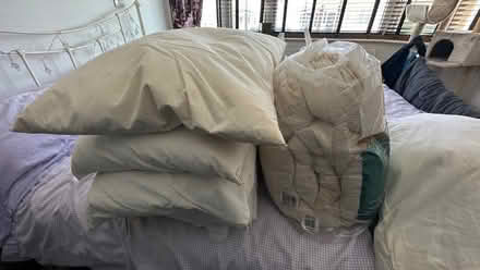 Photo of free More bedding (LU2 Round Green) #1