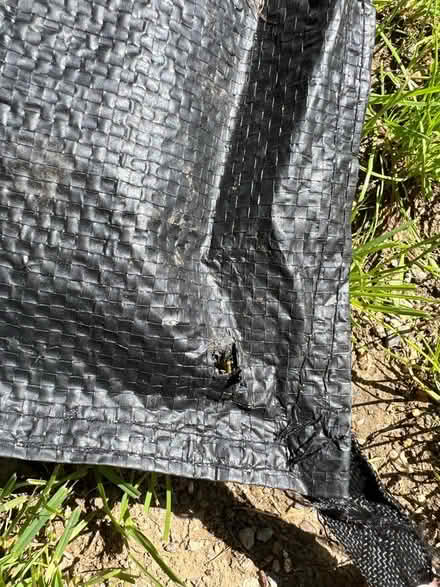 Photo of free Groundsheet (Staple CT3) #3